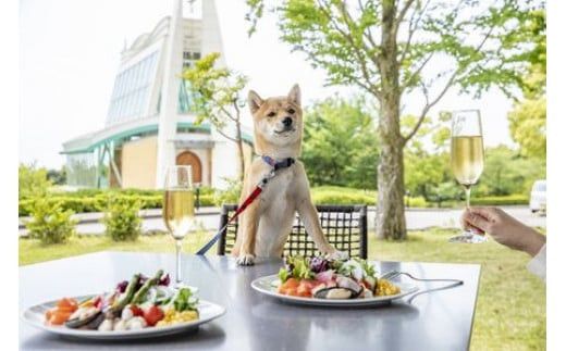 【チケット有効期限延長！】ブラッセリー「フローラ」ランチブッフェ招待券【ヒルトン ブッフェ　ブラッセリー「フローラ」 1組2名様 招待券 食事 肉 魚 野菜 デザート プレゼント 記念　旅行 ヒルトン小田原 ご褒美 神奈川県 小田原市 】 142069_BG002