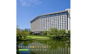 ヒルトン・和洋室デラックスルーム　1 泊夕朝食付き＜1組2名様＞【オーシャンビュー フィットネス 天然温泉大浴場 バーデゾーン 朝食ビュッフェ 都心から１時間のリゾート ファミリーステイ可能 ヒルトン 神奈川県 小田原市 】 142069_BG005