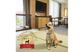 ワンちゃんと一緒にステイヒルトンドッグフレンドリールーム素泊まり（平日）【オーシャンビュー フィットネス 天然温泉大浴場 バーデゾーン 朝食ビュッフェ 都心から１時間のリゾート ヒルトン 神奈川県 小田原市 】 142069_BG007