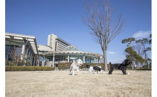 ワンちゃんと一緒にステイヒルトンドッグフレンドリールーム素泊まり（平日）【オーシャンビュー フィットネス 天然温泉大浴場 バーデゾーン 朝食ビュッフェ 都心から１時間のリゾート ヒルトン 神奈川県 小田原市 】 142069_BG007
