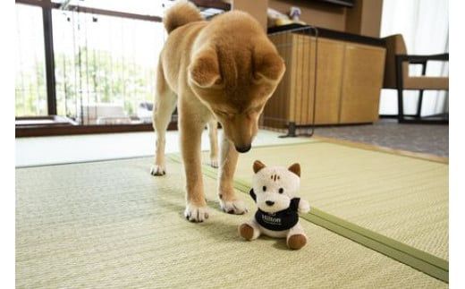 ワンちゃんと一緒にステイヒルトンドッグフレンドリールーム素泊まり（平日）【オーシャンビュー フィットネス 天然温泉大浴場 バーデゾーン 朝食ビュッフェ 都心から１時間のリゾート ヒルトン 神奈川県 小田原市 】 142069_BG007