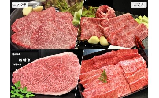 【牛肉 定期便 3回】 幻の相州黒毛和牛肩肉 800g×3回 計2.4kg【相州黒毛和牛 相州牛 幻の牛肉 極上の旨味と風味 キメ細かな上質の脂 様々な料理に ブランド牛 ブランド牛肉 神奈川特産品 神奈川県 小田原市 】 142069_BL032
