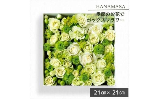 y_ސ쌧cszG߂̂ԂŃ{bNXAWgi21cm×21cmjy _ސ쌧 cs z 142069_BN036