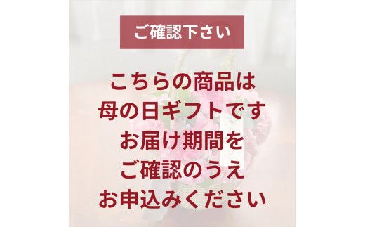 《母の日限定》カーネーションのブーケ＜出荷時期：2026年5月6日～5月9日＞ 142069_BN041