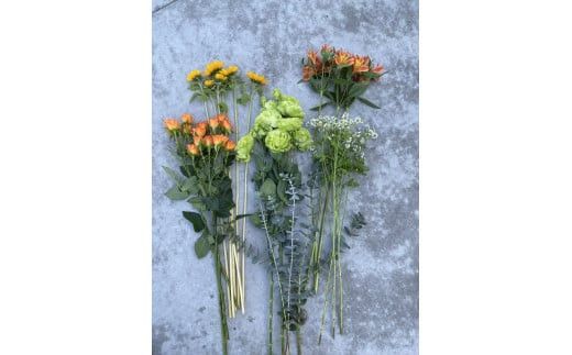 【お花の定期便】素材を楽しむ季節のお花(全12回）【素材を楽しむ季節のお花 フラワーライフ 切り花セット 毎月お届け 花本来の長さ 季節のお花 ご自宅にお届け 生け花 観賞用 飾り用 旬の枝物 全12回 神奈川県 小田原市 】 142069_BN043