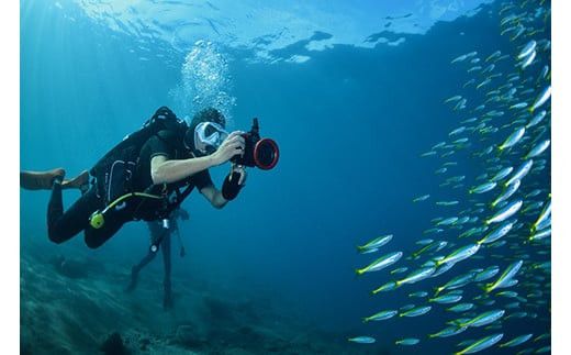 小田原ダイビングスクール 共通クーポン券 30,000円分 142069_BS008