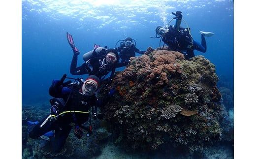 小田原ダイビングスクール 共通クーポン券 30,000円分 142069_BS008