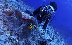 ガイド・レンタル代込み！ファンダイビング【2ビーチ】ご招待券 142069_BS010