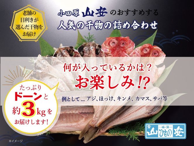 【 小田原 山安 】 おまかせ干物セット 約3kg 【 縞ほっけ開き干し 金目鯛開き干し 真あじ開き干し 赤魚開き干し さば半身干し かます開き干し 干物 大容量 詰合せ 神奈川県 小田原市 】 142069_BU005