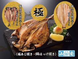 【 小田原 山安 】老舗の極干物 詰め合わせ４種 (10枚) 【 縞ほっけ開き干し 真あじ開き干し 金目鯛開き干し いか開き干し 干物 詰合せ 神奈川県 小田原市 】 142069_BU011