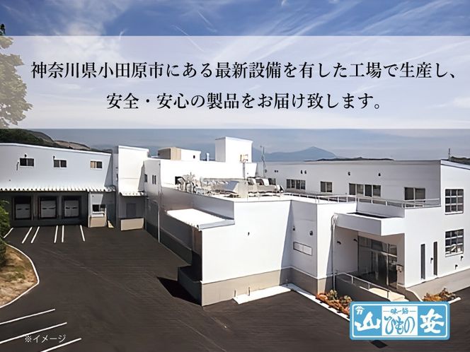 【 小田原 山安 】老舗の極干物 詰め合わせ４種 (10枚) 【 縞ほっけ開き干し 真あじ開き干し 金目鯛開き干し いか開き干し 干物 詰合せ 神奈川県 小田原市 】 142069_BU011