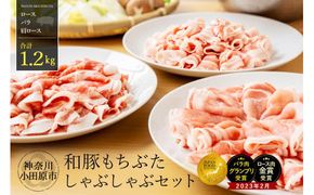 和豚もちぶたしゃぶしゃぶセット 合計1.2kg（ロース バラ 肩ロース）ふるさと納税 【小分け 豚肉 ポーク 豚しゃぶ しゃぶしゃぶ肉 冷凍 和豚もちぶた こだわりの豚肉 おいしい豚 贈り物 贈答品 ご褒美 神奈川県 小田原市 】 142069_BX006