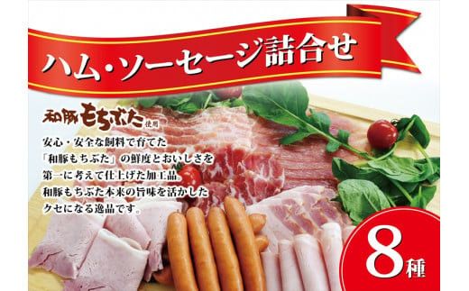 y_ސ쌧csza؂ԂgpnE\[Z[Wlߍ킹y y  ƒp p i p Mtg   Ε 蕨 _ސ쌧 cs z 142069_BX008