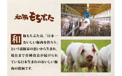 和豚もちぶた使用特選焼豚【 惣菜 おかず 家庭用 自宅用 贈答品 贈答用 ギフト お取り寄せ お中元 お歳暮 贈り物 神奈川県 小田原市 】 142069_BX010