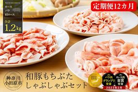 【定期便12ヵ月】 和豚 もちぶた しゃぶしゃぶ セット 合計1.2kg（ロース・バラ・肩ロース）【ポーク 豚バラ 豚ロース 豚しゃぶ しゃぶしゃぶ肉 豚肉 贈答品 贈答用 ギフト お取り寄せ 御中元 お中元 お歳暮 贈り物 神奈川県 小田原市 】 142069_BX014