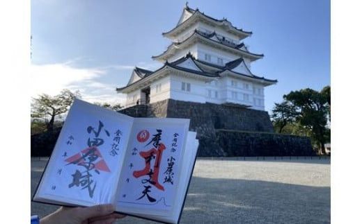 y_ސ쌧cszcE󒠃Zbgyc c  O Ɩ k xV cIWi ֕{ LO oLO LOi vێ@ Վ  VvfUC _ސ쌧 cs z 142069_CF001