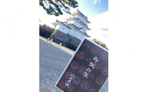 専用！小田原城·石垣山城御城印セット 小田原城御城印・御城印帳・石垣山城御城印セット【小田原城