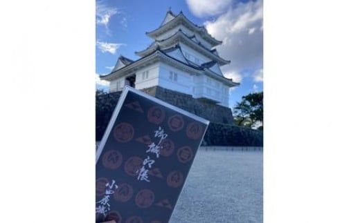 小田原城御城印・御城印帳・石垣山城御城印・北条五代武将印セット【小田原城 石垣山城 北条五代武将 武将 小田原御城印 武将印 5枚組 花押 朱印 古文書 小田原城天守閣ミュージアムショップ 神奈川県 小田原市 】 142069_CF003