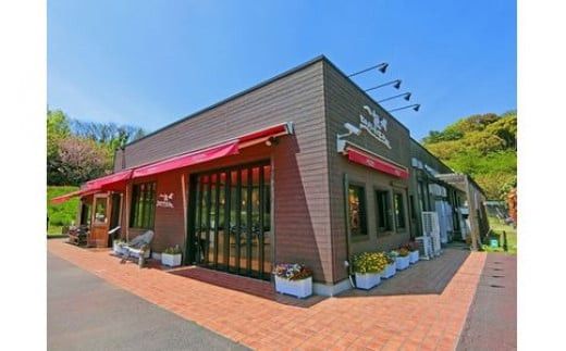 小田原城御城印・御城印帳・石垣山城御城印・北条五代武将印セット【小田原城 石垣山城 北条五代武将 武将 小田原御城印 武将印 5枚組 花押 朱印 古文書 小田原城天守閣ミュージアムショップ 神奈川県 小田原市 】 142069_CF003