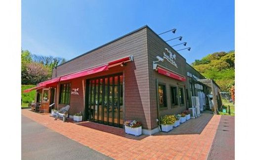 小田原城御城印・御城印帳・石垣山城御城印・北条五代武将印・小田原城天守閣展示案内セット【御城印 武将印 展示案内1冊 常設展示図録 小田原城 武将 城 天守閣 歴史 平成の大改修 美術工芸 石垣山城 神奈川県 小田原市 】 142069_CF004