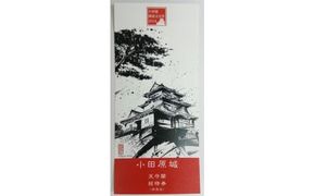 風魔忍者Tシャツ・小田原城天守閣招待券ペアセット　Mサイズ　2枚【忍者 風魔 Tシャツ小田原城 天守閣 ペア招待券 風魔一党 小田原北条氏 戦国時代 戦国時代ファン 小田原限定 忍 限定Ｔシャツ 忍者モチーフＴシャツ 神奈川県 小田原市 】 142069_CF007VC02