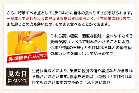 不知火 ご家庭用 デコみかん 約5kg 12～24玉前後《2025年2月上旬-4月末頃出荷》 デコポン（不知火）と同品種 熊本県産 熊本県 長洲町 訳あり---ng_dekomikan_af24_25_10000_5kg---