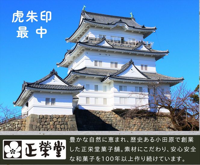 【小田原北条氏ゆかりの虎朱印の形をした最中 5個セット】小田原の老舗菓子店「正栄堂」の代表銘菓神奈川県指定銘菓登録商品。【 和菓子 神奈川県 小田原市 】 142069_CW028