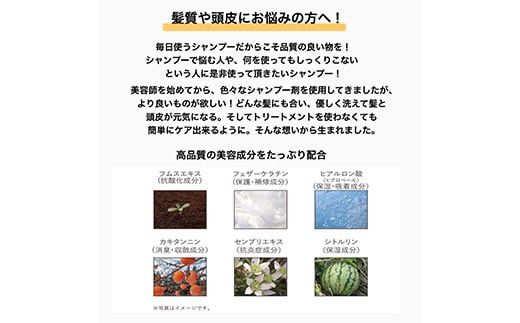 キャントウェイトシャンプー(300ml)【ヘアケア ボリューム ツヤ髪 ダメージケア　頭皮 ボディーソープ 美髪ケア 頭皮ケア オールインワンシャンプー ギフト 誕生日 プレゼント サロン級のヘアケア 美容液シャンプー 神奈川県 小田原市 】 142069_CY001