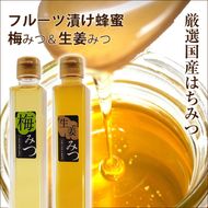 フルーツ漬け蜂蜜2本セット（梅みつ＆生姜みつ）【はちみつ ハチミツ 蜂蜜 家庭用 自宅用 贈答品 贈答用 ギフト お取り寄せ 御中元 お中元 お歳暮 父の日 母の日 贈り物 梅 生姜 フルーツ 神奈川県 小田原市 】 142069_CZ001