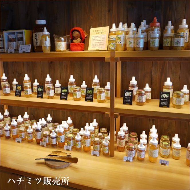 フルーツ漬け蜂蜜2本セット（梅みつ＆生姜みつ）【はちみつ ハチミツ 蜂蜜 家庭用 自宅用 贈答品 贈答用 ギフト お取り寄せ 御中元 お中元 お歳暮 父の日 母の日 贈り物 梅 生姜 フルーツ 神奈川県 小田原市 】 142069_CZ001