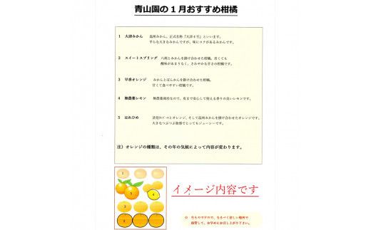 【先行予約】1月おすすめ柑橘詰め合わせ5kg箱＜出荷開始：2026年1月5日~1月25日＞【 フルーツ 神奈川県 小田原市 】 142069_DC002VC01