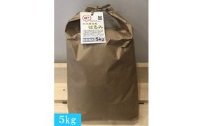 志村屋米穀店 令和7年産小田原市産　はるみ  5kg 142069_DE001