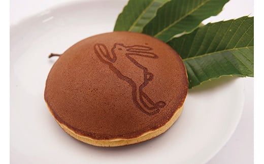 菜の花 小田原うさぎ （10個入）【甘すぎず大人の味わい 上品な味わい お土産 贈答用　記念 ご褒美 小田原銘菓 家族用 来客用 国内産小麦粉 減農薬小豆 新鮮な卵 薬蜜 とろける純バター入り 神奈川県 小田原市 】 142069_DH006