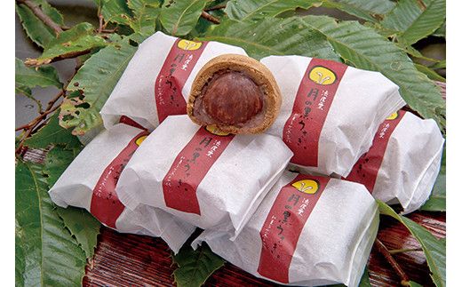 菜の花 月のうさぎ・月の黒うさぎ・栗パイ セット（各4個入）【お菓子 各4個入 粒の大きなやわらかな栗まんじゅう 甘すぎず大人の味わい 上品な味わい お土産 贈答用　記念 ご褒美 小田原銘菓 神奈川県 小田原市 】 142069_DH008