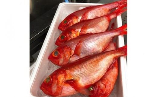 ・生から湯煎で仕上げる、金目鯛の煮付け【切身2枚】【惣菜 キンメ きんめ お取り寄せ 御中元 お中元 お歳暮 父の日 母の日 贈り物 日本酒 焼酎 稲取産 高級地金目使用 煮付け 神奈川県 小田原市 】 142069_DQ001