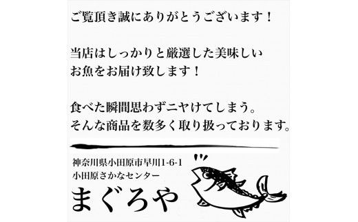 王様の塩辛 ゆず風味 小パック 2枚【 惣菜 いかの塩辛 あおりいか 珍味 柚子 お取り寄せ 御中元 お中元 お歳暮 父の日 母の日 贈り物 日本酒 焼酎 おつまみ】【家庭用 自宅用 贈答品 贈答用 ギフト 神奈川県 小田原市 】 142069_DQ014