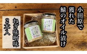 ・鯖のオイル漬け【ねぎ味噌×2本】【 惣菜 鯖 サバ 海鮮 魚介 ふりかけ おつまみ お取り寄せ 御中元 お中元 お歳暮 父の日 母の日 贈り物 日本酒 焼酎】【家庭用 自宅用 贈答品 贈答用 ギフト ねぎ味噌 神奈川県 小田原市 】 142069_DQ021