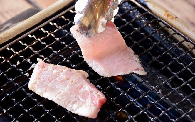 まぐろや  BBQセット【ふるさと納税】【まぐろ 鮪 本鮪 サーモン 海老 お刺身 海鮮 セット 福袋 キンメ きんめ お取り寄せ 御中元 お中元 お歳暮 父の日 母の日 贈り物 日本酒 焼酎 】【神奈川県小田原市】 142069_DQ049