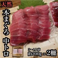 貴重な天然本鮪 中トロ 約200g 2柵　約3 4人前●くどくない上質な脂が美味しい！【とろ マグロ 惣菜 海鮮 お取り寄せ 御中元 お中元 お歳暮 父の日 母の日 贈り物 日本酒 焼酎】【神奈川県小田原市早川】 142069_DQ109