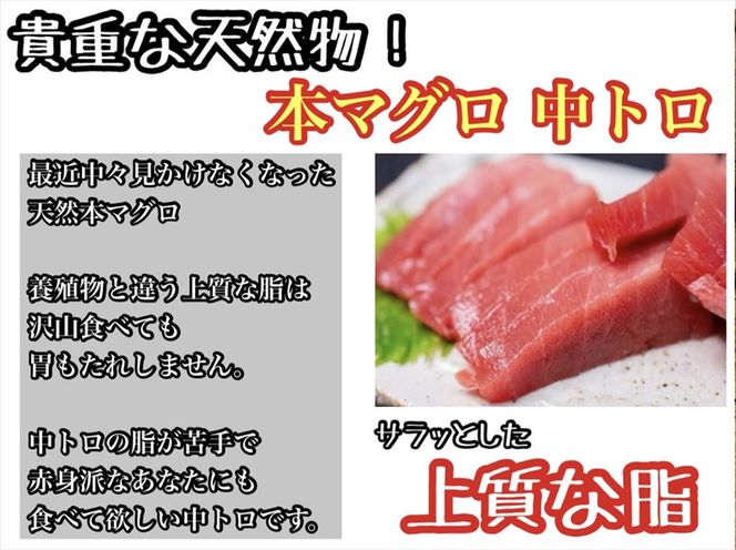 貴重な天然本鮪 赤身 約200g 中トロ 約200g 各1柵 2 3人前●赤身はマグロの中心部天身を使用！中とろの脂はくどくない上質な脂！【赤身 天身 惣菜 海鮮 お取り寄せ 御中元 お中元 お歳暮 父の日 母の日 贈り物 日本酒 焼酎】【神奈川県小田原市早川】 142069_DQ111