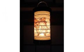 ゆらぎLEDちょうちん　北条綱成（玉縄城主）【ゆらぎ 提灯 ちょうちん LED電球 和紙 やわらかい灯り 最新技術 ゆらぐＬＥＤ電球 炎のよう 小田原型ちょうちん リアルキャンドルLEDランプ 神奈川県 小田原市 】 142069_DS006