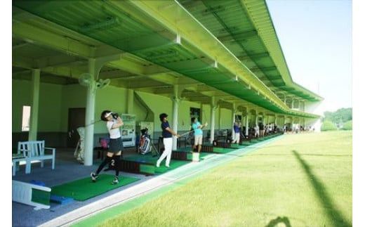 y_ސ쌧cszNEStNu@StKꗘpvyChJ[hyStK vyChJ[h 26000~ _ސ쌧 cs z 142069_DT002