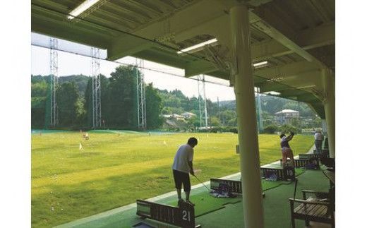 クラウンゴルフクラブ　ゴルフ練習場利用プリペイドカード【ゴルフ練習場 プリペイドカード 2枚6000円分 神奈川県 小田原市 】 142069_DT002