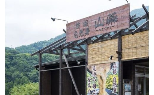 お店の味をご家庭で。【箱根自然薯の森 山薬】自然薯セット(2～3人前×2回分)【とろろ 極上とろろ 山芋 箱根 お家用 家庭用 国産 セット商品 自然薯 神奈川県 小田原市 】 142069_DV001