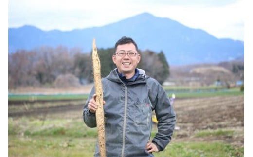 お店の味をご家庭で。【箱根自然薯の森 山薬】自然薯セット(2～3人前×2回分)【とろろ 極上とろろ 山芋 箱根 お家用 家庭用 国産 セット商品 自然薯 神奈川県 小田原市 】 142069_DV001