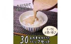 解凍するだけ！毎日の新しい健康習慣に！自然薯味付とろろ100ｇ３０ｐセット【とろろ 極上とろろ 山芋 箱根 お家用 家庭用 国産 セット商品 自然薯 味付とろろ 神奈川県 小田原市 】 142069_DV003