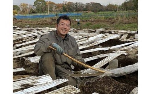 解凍するだけ！毎日の新しい健康習慣に！自然薯味付とろろ100ｇ３０ｐセット【とろろ 極上とろろ 山芋 箱根 お家用 家庭用 国産 セット商品 自然薯 味付とろろ 神奈川県 小田原市 】 142069_DV003