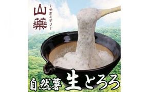 自然薯の味をお楽しみください。自然薯生とろろ100ｇ×５ｐセット【とろろ 極上とろろ 山芋 箱根 お家用 家庭用 国産 セット商品 自然薯 味付とろろ 神奈川県 小田原市 】 142069_DV004