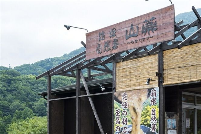 解凍するだけ！毎日の新しい健康習慣に！自然薯味付とろろ100ｇ５ｐセット【とろろ 極上とろろ 山芋 お家用 家庭用 国産 セット商品 自然薯 味付とろろ 神奈川県 小田原市 】 142069_DV012