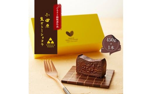 [ラッピング]幸せの生ガトーショコラ[チョコレート 特濃厚 濃密な味わい 極上の口溶け 極上のチョコレート 一流の料理人 チョコレート本来の味わいと甘み カカオの風味やコク カカオ 至極の逸品 神奈川県 小田原市 ] 142069_DW001-GFT